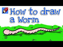 Maybe you would like to learn more about one of these? How To Draw A Cute Worm Children S Author And Illustrator