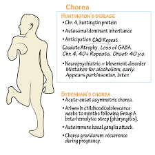 Huntington S Disease Neuroanatomy Flashcards Draw It To Know It