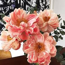 Bat Gio On Instagram Home Swede Home Paper Flowers Flowers Giovanna Battaglia