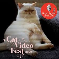 Along with the frosty fest, special gear items will be distributed via the squid research lab report (splatoon 2) news channel on your nintendo switch system. Join Tonight At 7pm Our Local Cat Video Victoria Film Festival ÙÛØ³Ø¨ÙˆÚ©