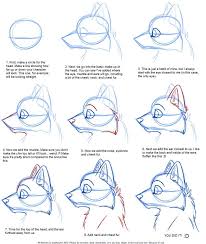 Browsing On Deviantart Cat Dog Head Profile Tut Drawings Furry Drawing Animal Drawings