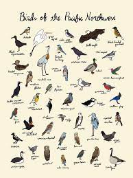 No goal is too big if you're determined! Pacific Northwest London Northern Lights Lighthouses Storms Parks Bridges San Diego Rocky Mountains Mont Washington Nature Pacific Northwest Art Missouri Birds