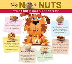 What nuts can dogs not eat. Be Mindful Of What Foods You Team Aspin Of Iloilo Tail Facebook