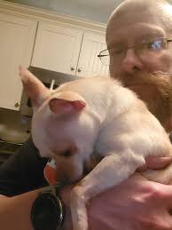 My little dude Kylo with Papa...