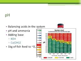 Rules Of Thumb In Aquaponics Ppt Video Online Download