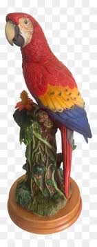 guacamaya png free download yellow circle guacamaya subpng pngfly subpng