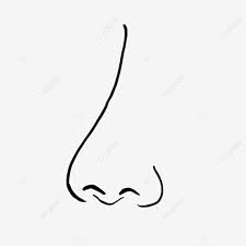 Mewarnai gambar gajah untuk anak tk. Sketsa Gambar Hidung Hitam Putih Gambar Hitam Dan Putih Makro Telinga Satu Warna Merapatkan Putih Hitam Tubuh Manusia Menghadapi Hidung Cambang Sketsa Gambar Kacamata Kepala Kulit Organ Mata Kucing Fotografi Monokrom