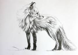 We did not find results for: 1001 Idee Per Disegni A Matita Facili E Molto Belli