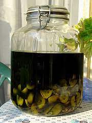 Check spelling or type a new query. Nocino Con La Grappa 1000 Ricette