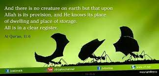 Baca surat hud lengkap bacaan arab, latin & terjemah indonesia. Pin On Quranic Verses