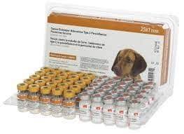 Primary vaccination is essential in order to prevent the once common puppy diseases that caused high levels of fatality from returning. Parvovirus Vaccination Prevention And Maternal Antibodies