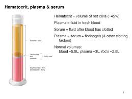 Hematocrit Plasma Serum Phlebotomy Medical Technology Medical Laboratory Science