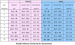 Black Russian Terrier Puppy Growth Charts Puppy Growth