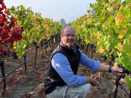 Image result for Vigna kirkii