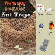 Mix a tablespoon of sugar and yeast with two tablespoons of molasses altogether, then put a little mixture on small plates along the ant trails. How To Make Homemade Ant Traps Homemade Ant Traps Ant Traps How To Make Homemade