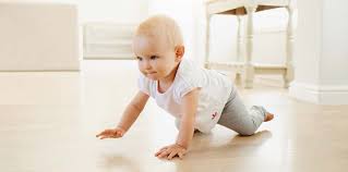 6 To 12 Month Developmental Milestones For Babies The Tot