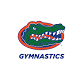 Gators Gymnastics High Performance Camp 3