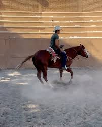 Image result for tbn:tVj6rqcH-AQR9M::www.pregonagropecuario.com.ar/images/caballo_overo.jpg