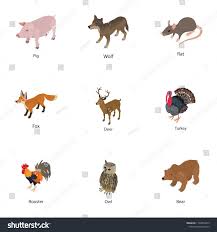 Domesticated Animal Icons Set Isometric Set Of 9 Domesticated Animal Vector Icons For Web Isolated On White Background Ad A Animal Icon Icon Set Isometric