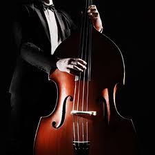Contrabaixo Acustico Jazz Escola De Musica Online Como Toca