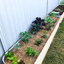 Birdies Raised Garden Beds Birdies Garden Products Birdiesgardenproducts Posted On Instagram Myurbanpatch After A Weekend Of Hard Work In 2020 Raised Garden Raised Garden Beds Raised Beds