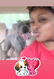 Adopting a dog with special dietary needs