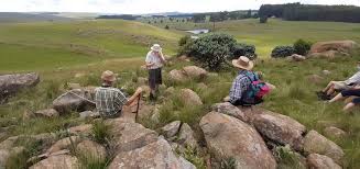 Image result for Corycium dracomontanum