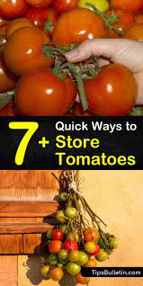 Here's the best way to do it. 7 Quick Ways To Store Tomatoes How To Store Tomatoes Tomato Storing Vegetables
