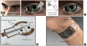 International Neurourology Journal