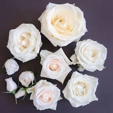 1. Focal Flowers - Which is your favorite? (Regardless of color)