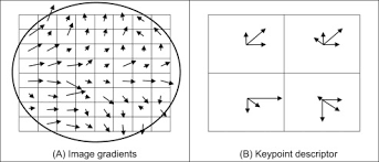 Descriptors are primarily concerned with both the scale and the orientation of the keypoint. Scale Invariant Feature Transform An Overview Sciencedirect Topics