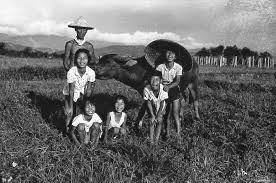 新哆啦老師的又一天 歲月台灣 陳石岸 4 Old Photos Historical Figures Photo