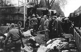 Check spelling or type a new query. Chelmno Extermination Camp Wikipedia