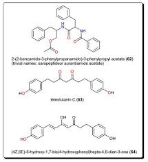 Image result for Salacia congolensis