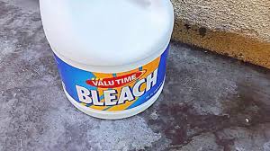Next questionare rat tailed maggots harmful to dogs? Kill Maggots With Bleach Youtube