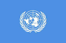 Image result for Vice Chancellor of University of Ghana appointed member of UN University Governing Council