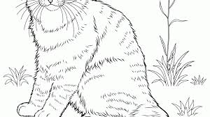Welcome to our cat coloring page where you can download over 160 unique and original cat pictures for hundreds of hours of coloring fun for all the family. Realistic Cat Coloring Pages Printable Kids Worksheets