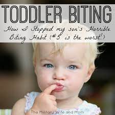 5 Steps To Stop Toddler Biting In Its Tracks - The Military Wife And Mom