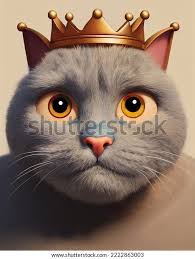 5+ Thousand Grumpy Cat Face Royalty-Free Images, Stock Photos & Pictures