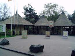 It was with some reluctance that i agreed to spend a weekend camping at the beekse bergen safari park , a nature reserve situated on a. Safaripark Beekse Bergen Wikipedia