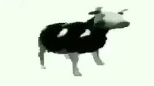 Tylko Jedno W Glowie Mam Polish Cow Know Your Meme Tylko jedno w glowie mam koksu piec gram odleciec sam w kraine zapomnienia w glowie myśli mam kiedy skonczy sie ten stan pokazat polnostyu. tylko jedno w glowie mam polish cow