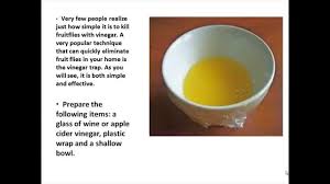To kill fruit flies, first mix apple cider vinegar and a few drops of dish soap in a bowl. How To Get Rid Of Fruit Flies In Your Home Home Remedies For Fruit Flies Youtube