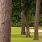 FST Pinecrest Invitational event image