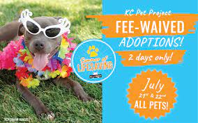 Small breed dogs and puppies: Fee Waived Adoptions 2 Days Only Kc Pet Project