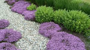 Gartengestaltung mit kies und splitt ist trend — und steinreich zu sein, bekommt seit einiger zeit eine ganz neue bedeutung. Kiesgarten Anlegen Ideen Aufbau Und Gestaltungsvarianten