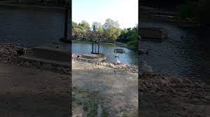 Paysage aquatique découvrez les bonnes réponses, synonymes et autres mots utile, les solutions pour plante aquatique ornementale de mots fléchés et mots croisés. Il Met La Main Au Canard Mots Croises