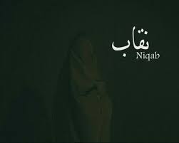 pin by nadia abdelmoniem on niqabi princess niqab muslim women niqab fashion