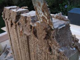 The durability can optionally be extended by adding a small amount of toxic powders or changing the ph of the wheat paste. Wheatpaste 5 Steps With Pictures Instructables