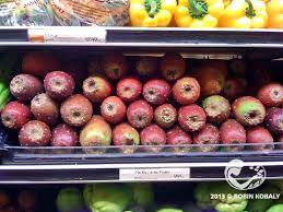 Cacti are quite easy to grow from seed and the results can be very rewarding. Secrets Of Making Painless Cactus Apple Juice The Power Of Plants