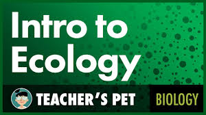 We did not find results for: Introduction To Ecology Youtube